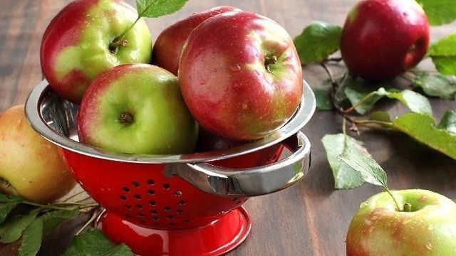 Яблоня — описание, фото, свойства и применение плодов, цветов, листьев в медицине и питании
