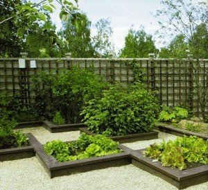 Дизайн сада и огорода