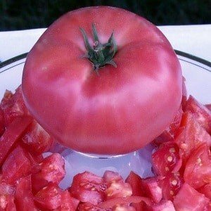 Помидоры beefsteak heirloom tomato