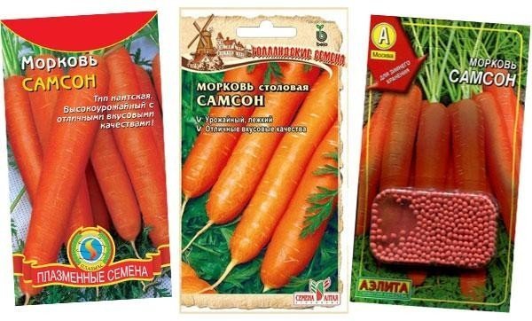 Гавриш морковь самсон