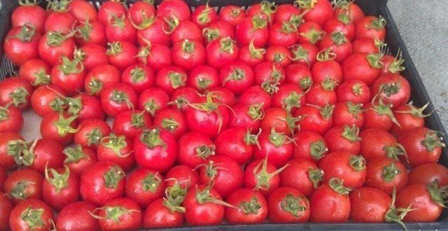 Турецкие черри помидоры