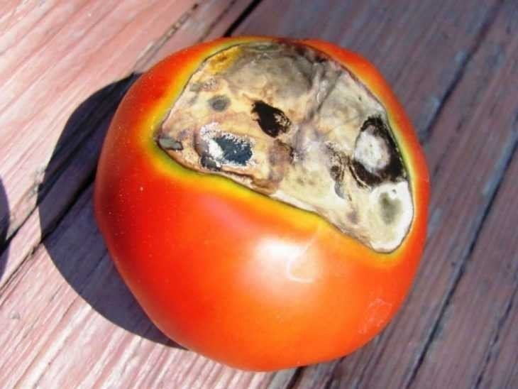 Кальциевая селитра для томатов