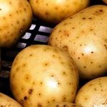 Болезни картофеля: фото описание и лечение