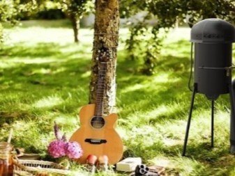 Пикник с гитарой на природе