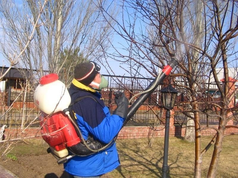 Опрыскивание деревьев защита работников
