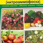 Удобрение азофоска: инструкция по применению на огороде