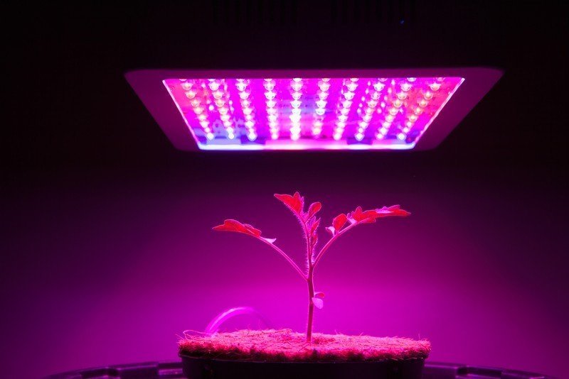 Лампа для растений светодиодная тонкая