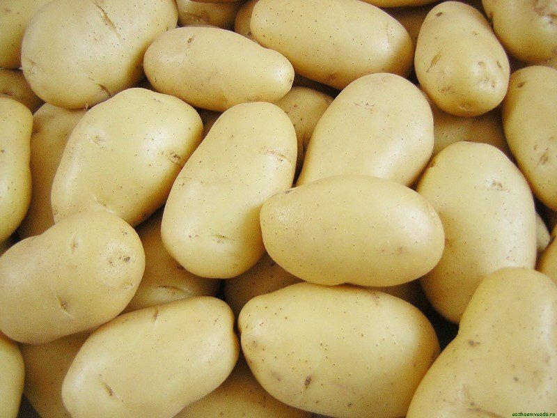 Сорт картофеля вармас