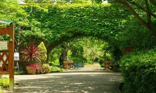 Риджентс парк сад королевы марии