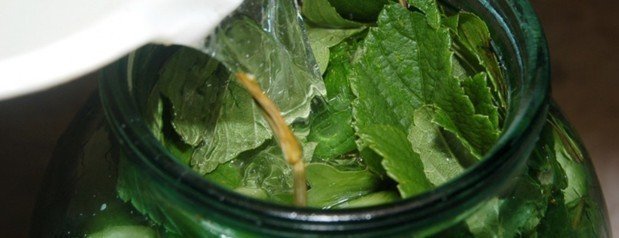 Сок из листьев лопуха рецепт