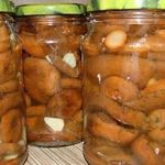 Способы засолки грибов рыжиков в домашних условиях и рецепты с ними (