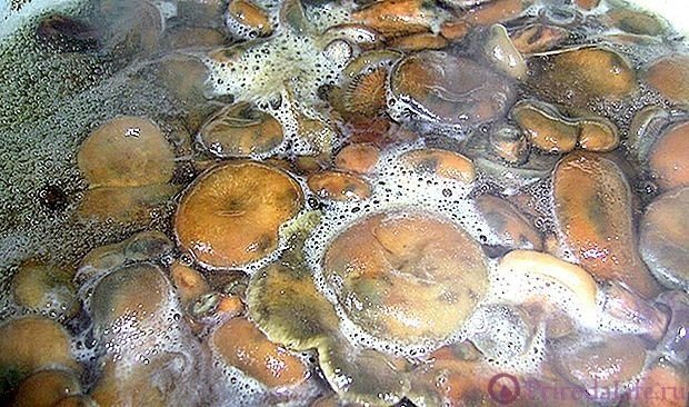 Вареные грибы в маринаде